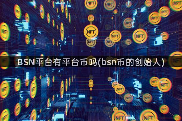 BSN平台有平台币吗(bsn币的创始人)