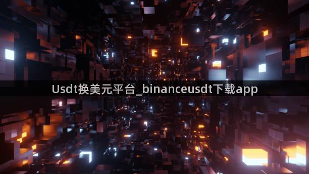 Usdt换美元平台_binanceusdt下载app
