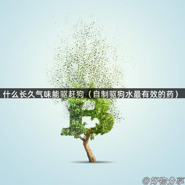 什么长久气味能驱赶狗（自制驱狗水最有效的药）