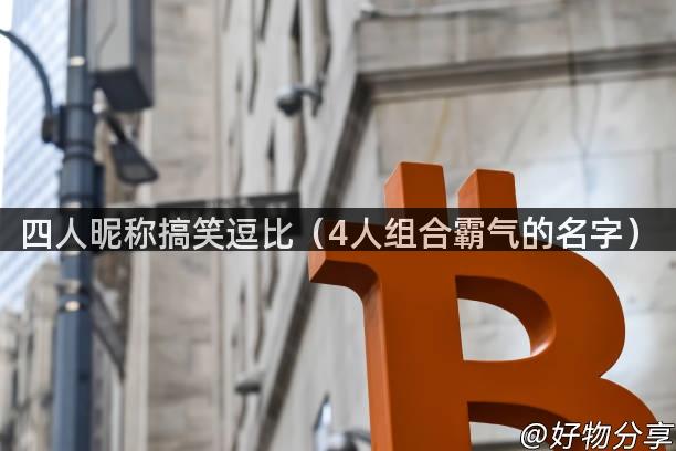 四人昵称搞笑逗比（4人组合霸气的名字）