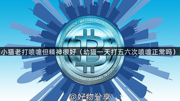 小猫老打喷嚏但精神很好（幼猫一天打五六次喷嚏正常吗）