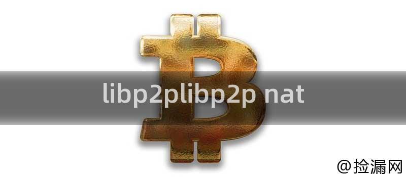 libp2plibp2p nat插图