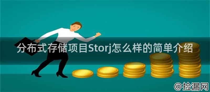分布式存储项目Storj怎么样的简单介绍插图