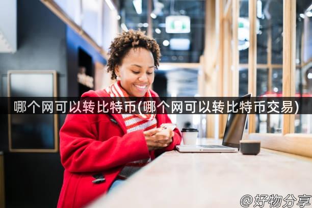 哪个网可以转比特币(哪个网可以转比特币交易)