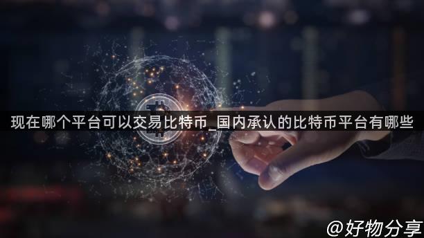 现在哪个平台可以交易比特币_国内承认的比特币平台有哪些