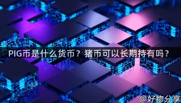 PIG币是什么货币？猪币可以长期持有吗？