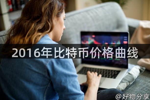 2016年比特币价格曲线