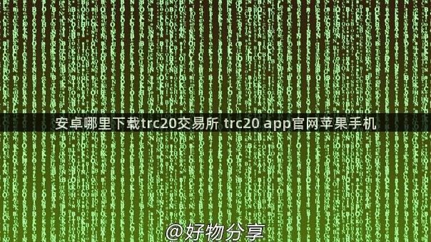 安卓哪里下载trc20交易所 trc20 app官网苹果手机