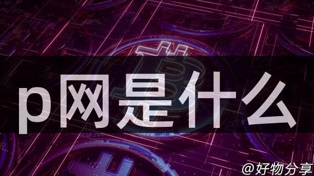 p网是什么