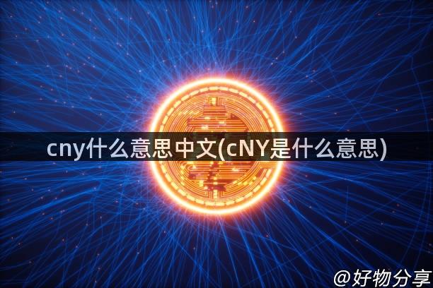 cny什么意思中文(cNY是什么意思)