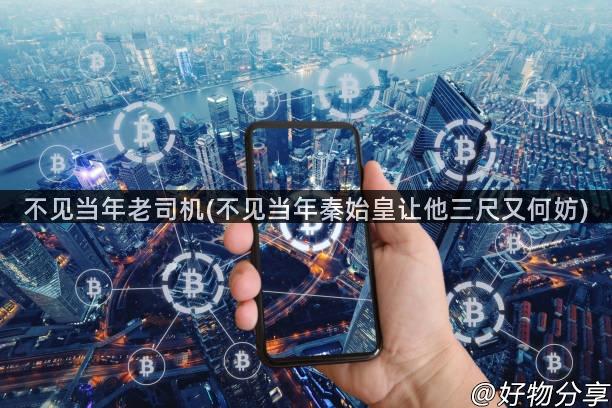 不见当年老司机(不见当年秦始皇让他三尺又何妨)