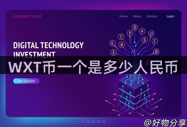 WXT币一个是多少人民币
