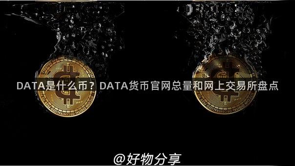 DATA是什么币？DATA货币官网总量和网上交易所盘点
