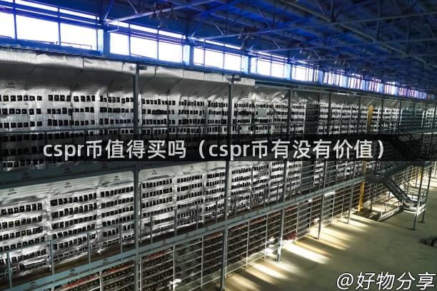 cspr币值得买吗（cspr币有没有价值）