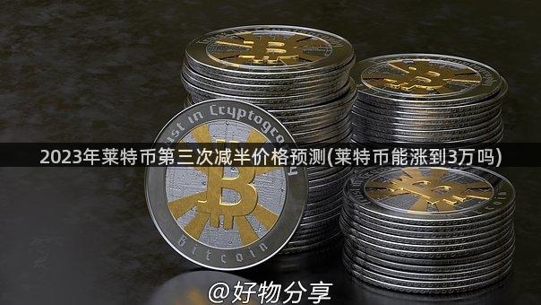 2023年莱特币第三次减半价格预测(莱特币能涨到3万吗)