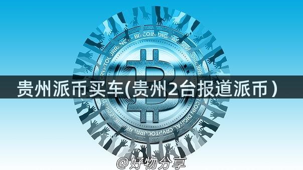 贵州派币买车(贵州2台报道派币）