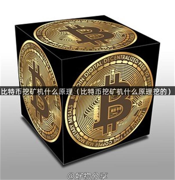 比特币挖矿机什么原理（比特币挖矿机什么原理挖的）