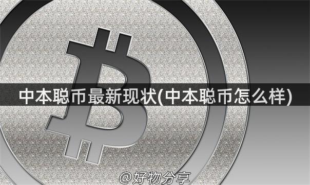 中本聪币最新现状(中本聪币怎么样)