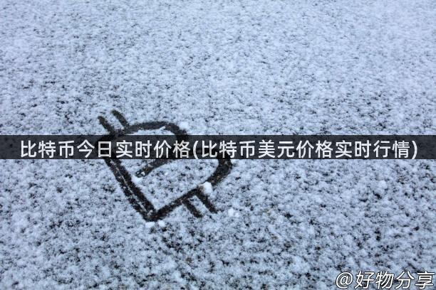 比特币今日实时价格(比特币美元价格实时行情)
