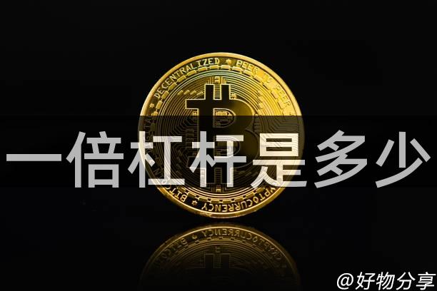 一倍杠杆是多少