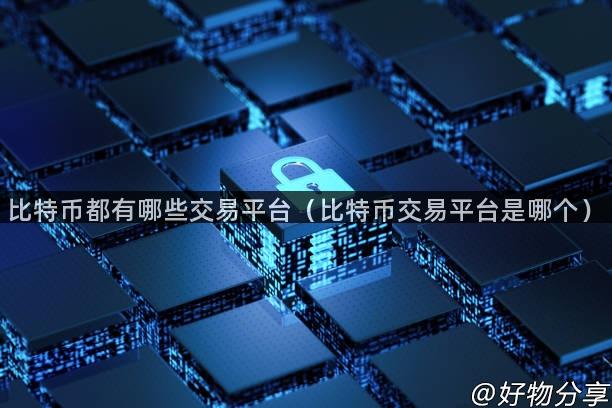 比特币都有哪些交易平台（比特币交易平台是哪个）