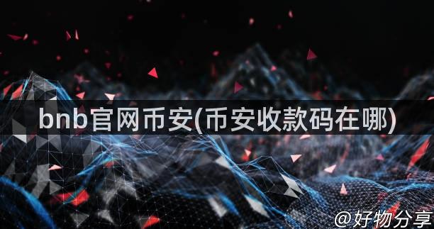 bnb官网币安(币安收款码在哪)