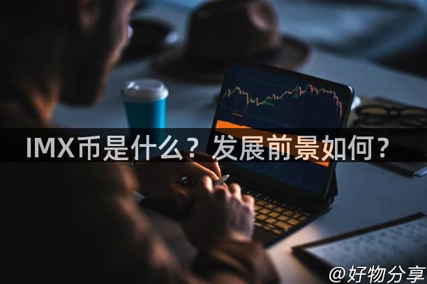 IMX币是什么？发展前景如何？