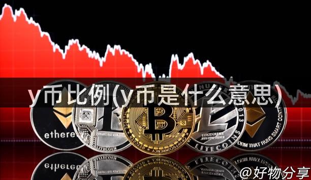 y币比例(y币是什么意思)