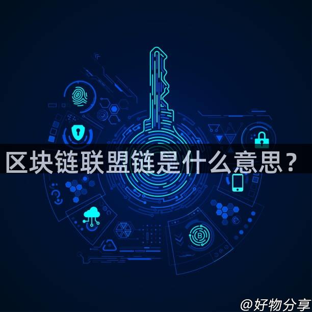 区块链联盟链是什么意思？
