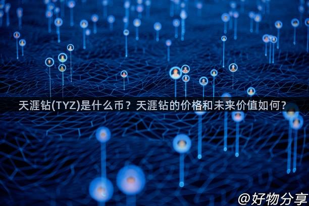 天涯钻(TYZ)是什么币？天涯钻的价格和未来价值如何？