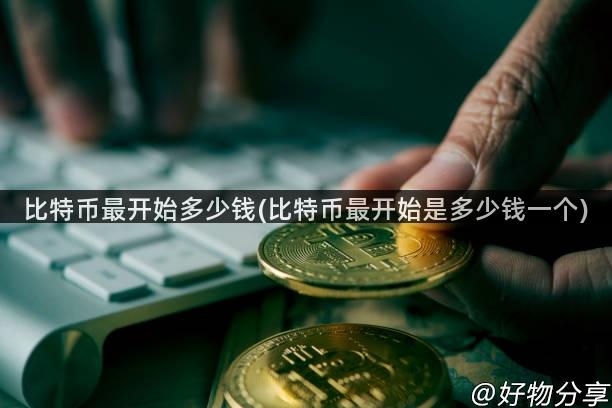 比特币最开始多少钱(比特币最开始是多少钱一个)