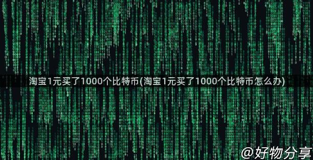 淘宝1元买了1000个比特币(淘宝1元买了1000个比特币怎么办)