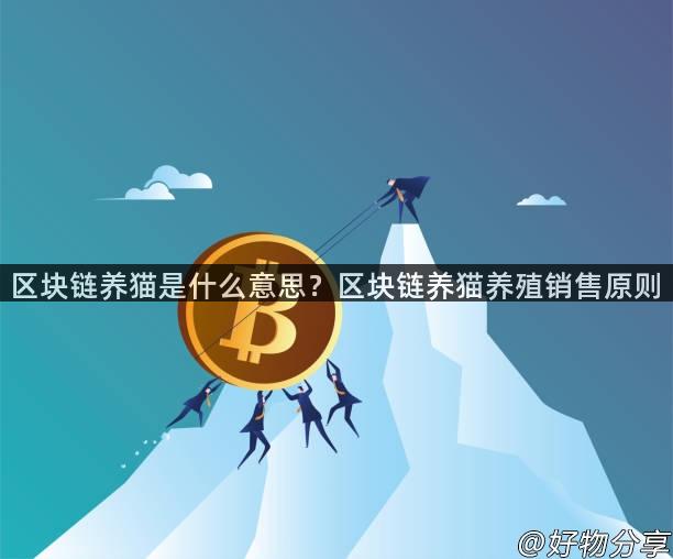 区块链养猫是什么意思？区块链养猫养殖销售原则