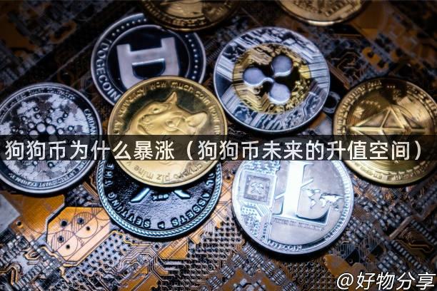 狗狗币为什么暴涨（狗狗币未来的升值空间）