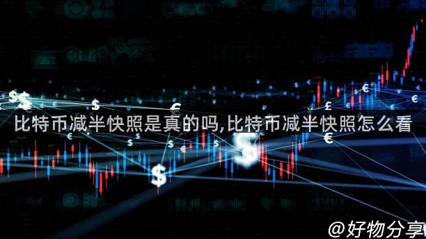 比特币减半快照是真的吗,比特币减半快照怎么看