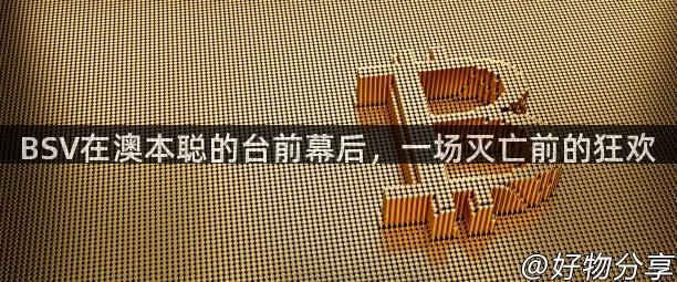 BSV在澳本聪的台前幕后，一场灭亡前的狂欢