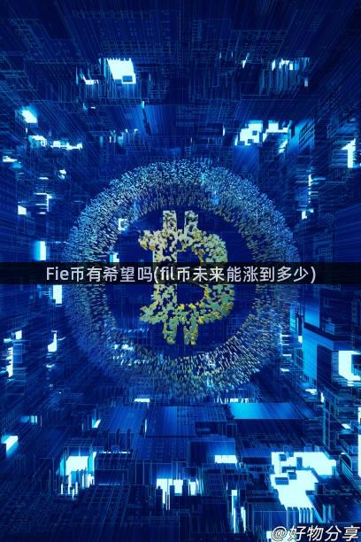 Fie币有希望吗(fil币未来能涨到多少)
