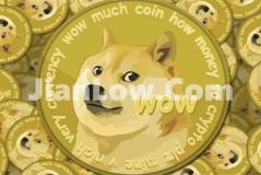 doge币怎么买教程(数字资产交易平台特色分析)