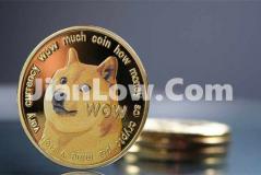 doge币去哪里平台买(虚拟货币app如何入门)