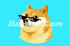 doge币开户怎么买(交易平台软件性能测试)
