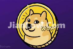 doge币要在什么平台购买(比特币软件的安全性分析)
