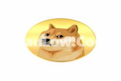 doge币做T怎么买卖(智能便捷的交易所客户端)