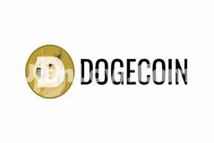 doge币哪年在中国可以购买的(加密货币交易服务比较)