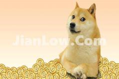 doge币合约币怎么买(虚拟币交易所app登陆手机端)