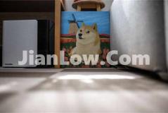 买doge币正式平台是什么(数字资产交易平台挑选技巧)