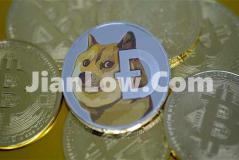 不准狗狗币交易怎么购买(虚拟货币交易软件分析)