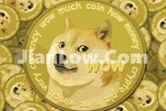 中国购买doge币最早的平台有哪些(交易所数字币交易平台)