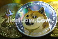 doge币去哪购买划算(优质虚拟货币交易平台推荐)