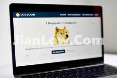 doge币通过什么软件购买(虚拟币交易平台的交易费用)