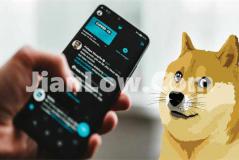 doge币的买家数量怎么看(虚拟货币交易所安全性评估)